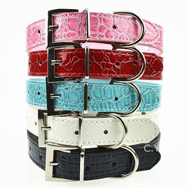 Personalized Leather Name Collar