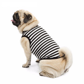 Summer Stripe Dog Clothes