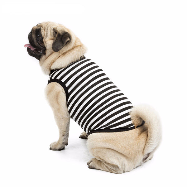 Summer Stripe Dog Clothes