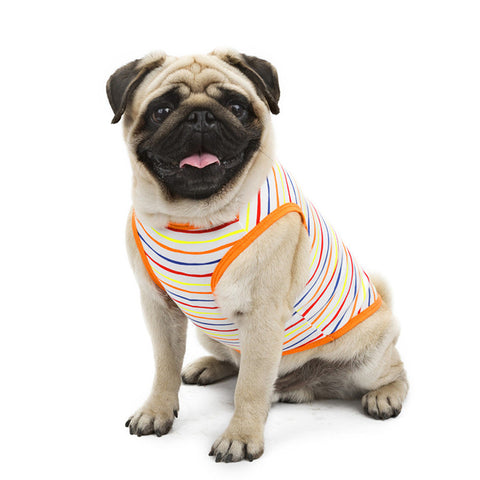 Summer Stripe Dog Clothes