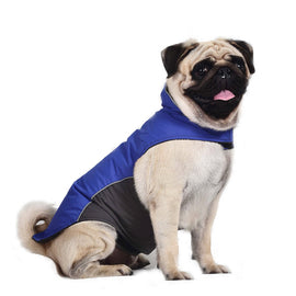 Waterproof Spring Dog Raincoat