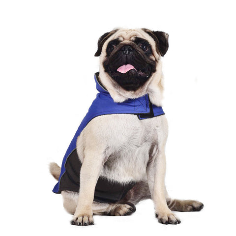 Waterproof Spring Dog Raincoat