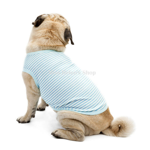 Summer Stripe Dog Clothes