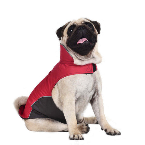 Waterproof Spring Dog Raincoat