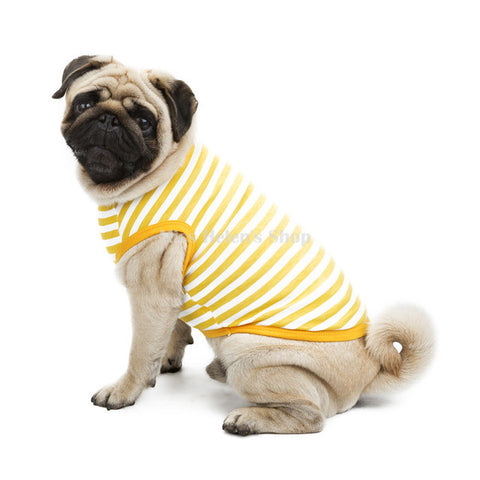 Summer Stripe Dog Clothes